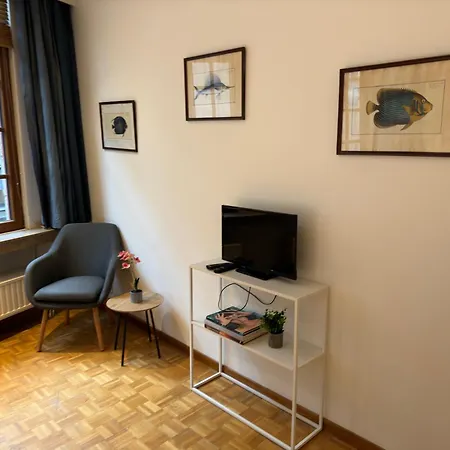Two Bedroom Loft In The Center By The Meir アントウェルペン