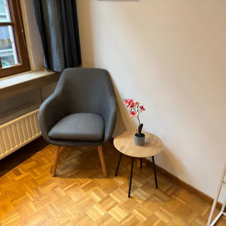 Two Bedroom Loft In The Center By The Meir アントウェルペン